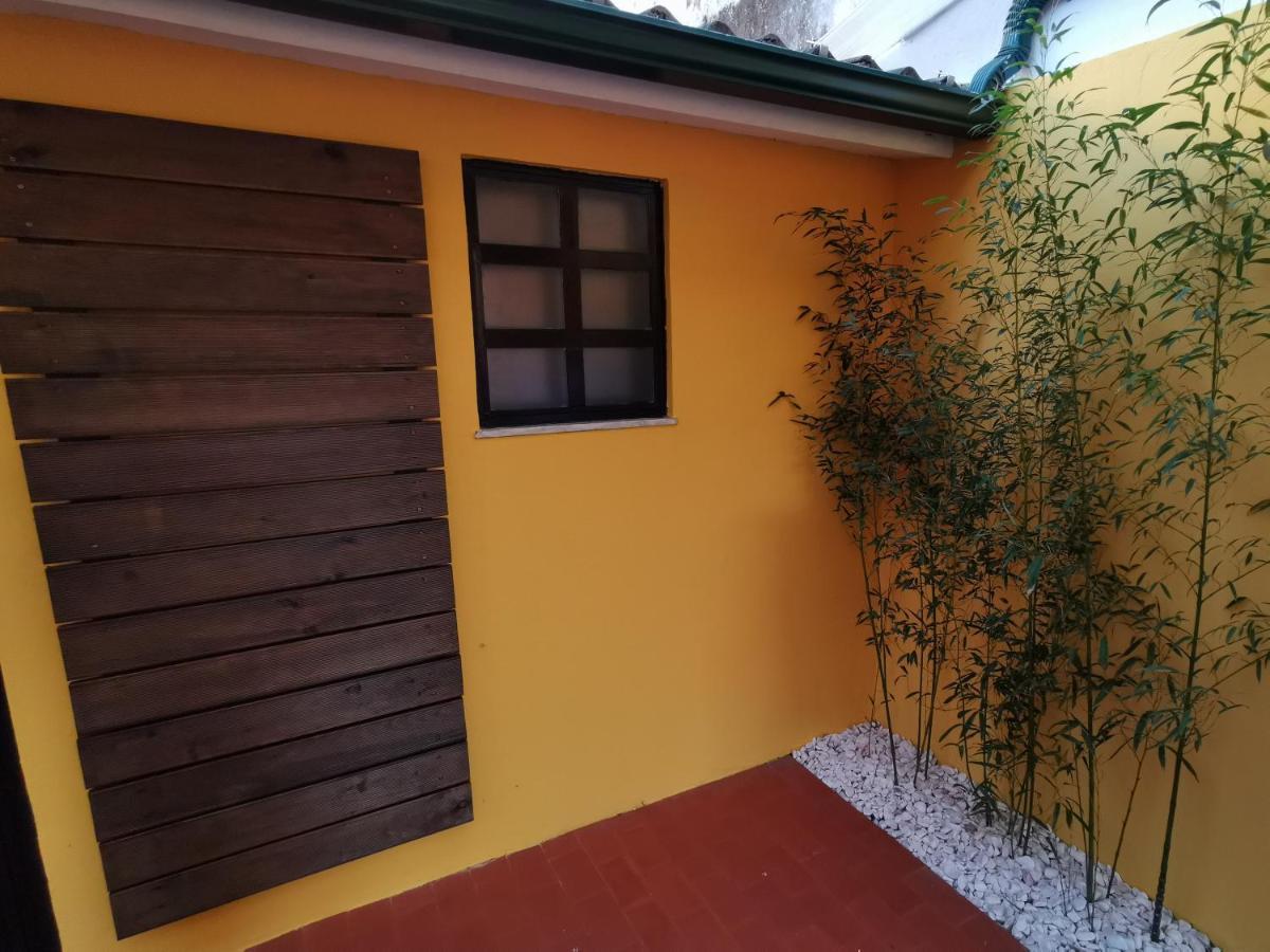 Villa Coimbra - Casa Inteira Exterior foto